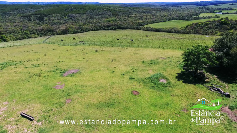 VAI ATE MANGUEIRA OVELHAS.00_00_38_22.Quadro010_4039929fcedf8c904a72da14c382f3b8c51cf959.jpg